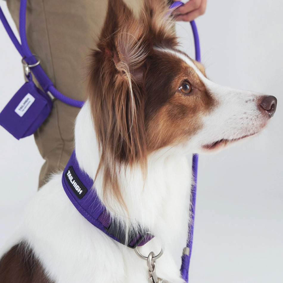 Dog Comfort Collar (Small, Purple)