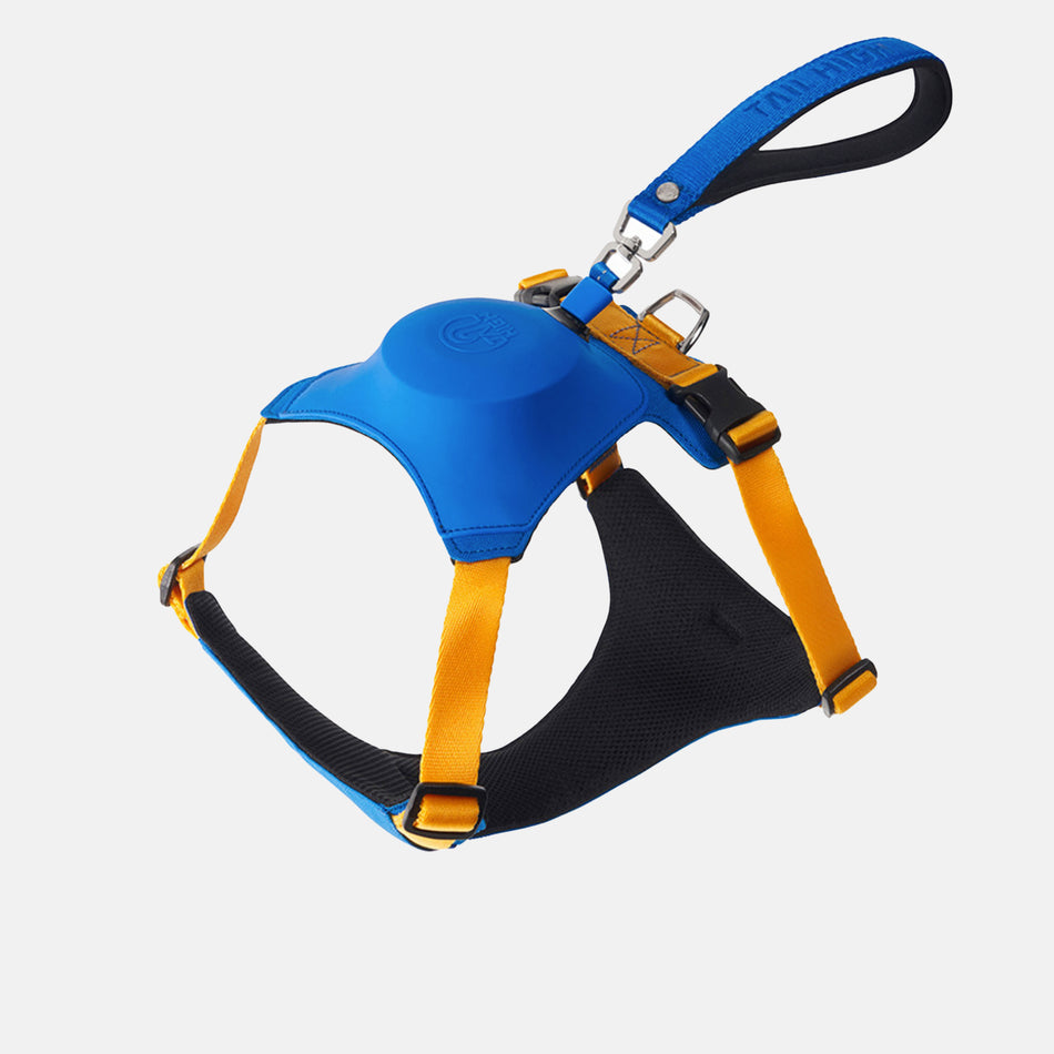 Hybrid Harness (Small, Gingko Blue)