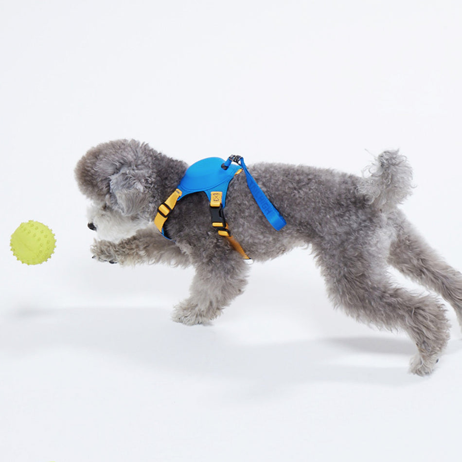 Hybrid Harness (Small, Gingko Blue)