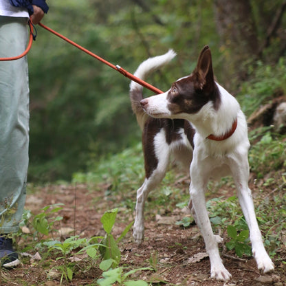 Dog Rope Leash-1.5M, Brown